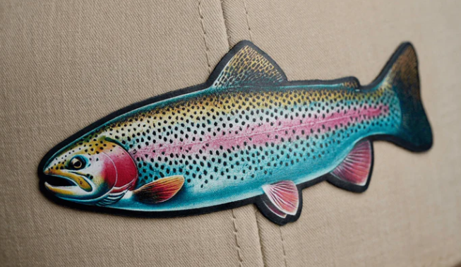 Rainbow Trout