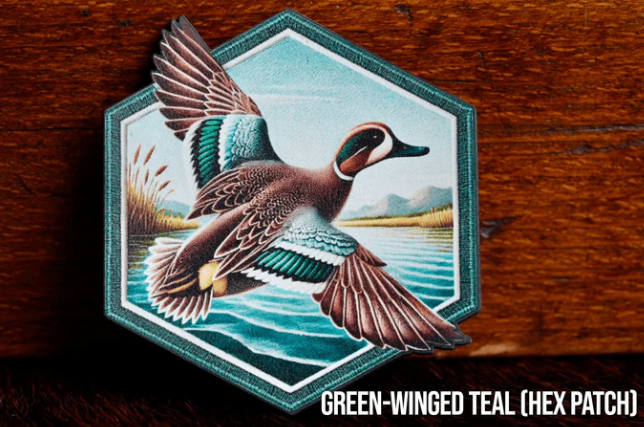 Green Winged Teal (Hex)