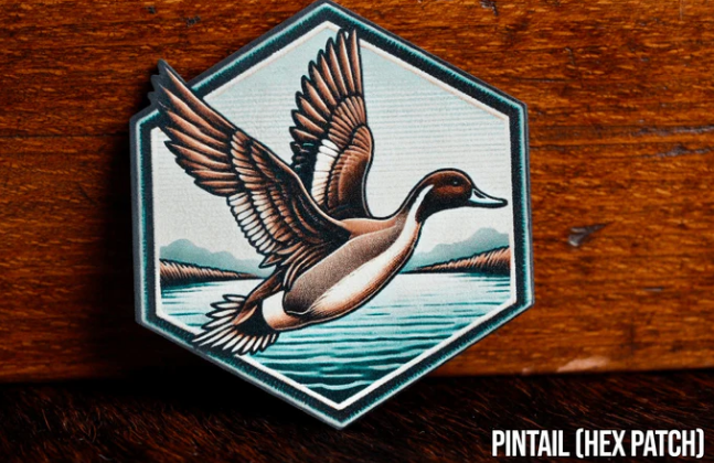 Pintail (Hex)