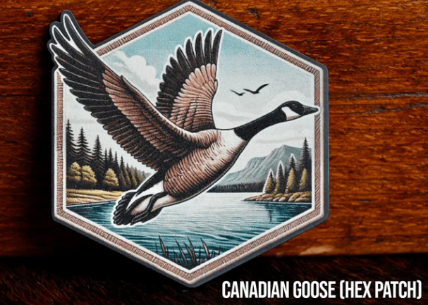 Canadian Goose (Hex)